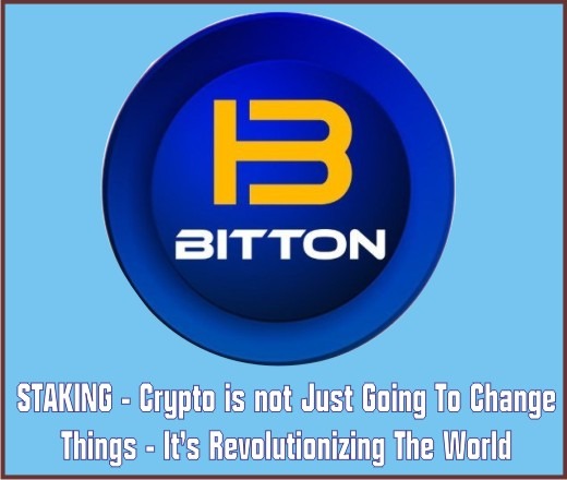 bitton-520x440 TalkingPhotos